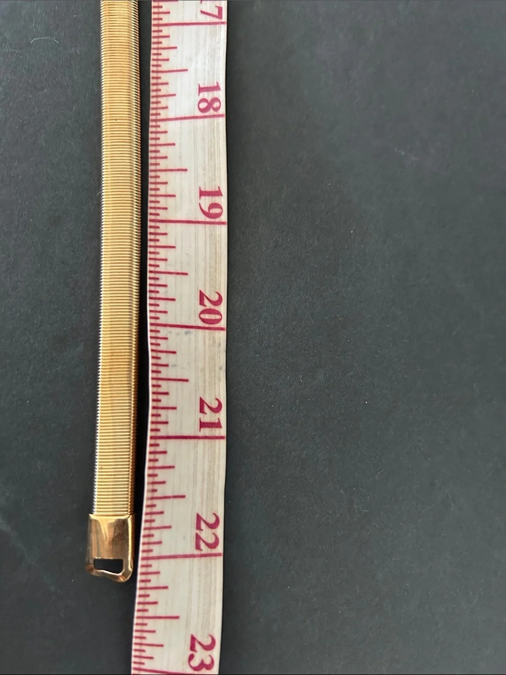 GOLD SPRING METAL BELT